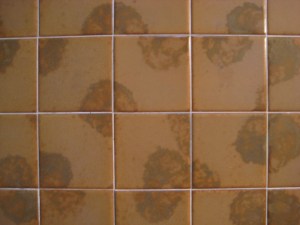 Shower Tile