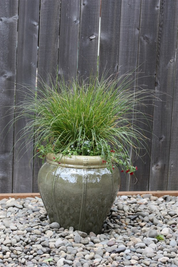 grass pots