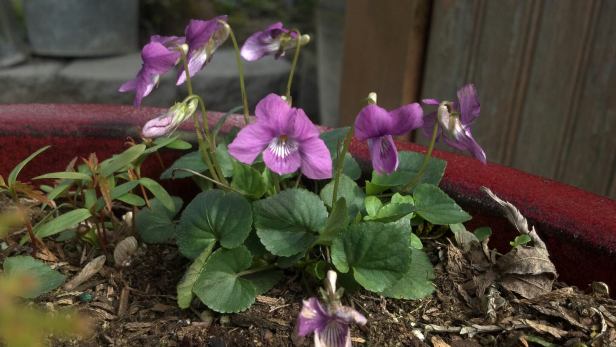 465330_3683943022915_1405301649_33277767_1711636761_o