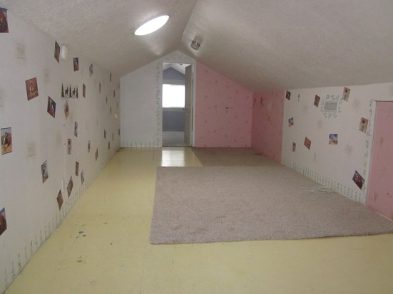Attic storage space- used as playroom