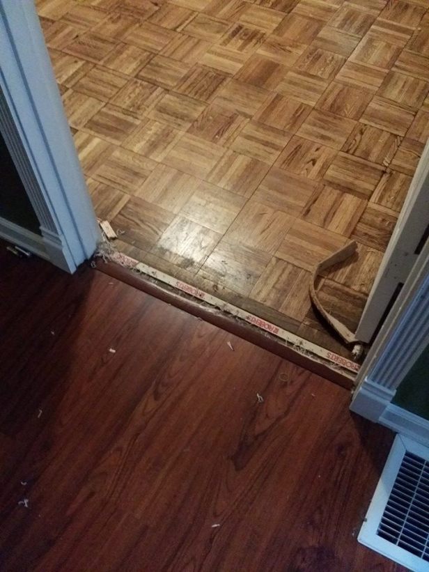 1546003_10203127880543628_1675934474_n