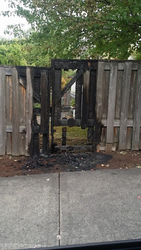 1924371_10204919517373429_5875559414544655670_n