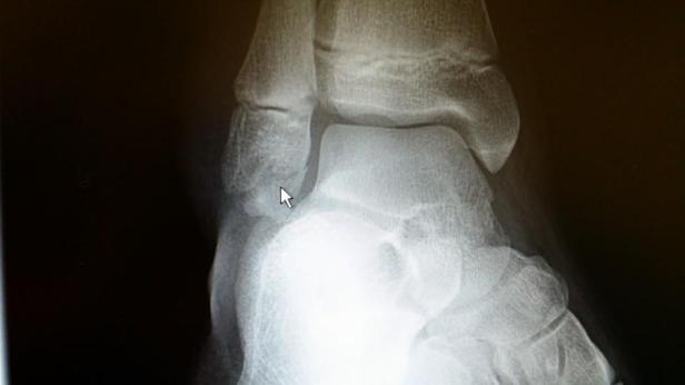 10687069_10204907207505690_8338076777415293015_n