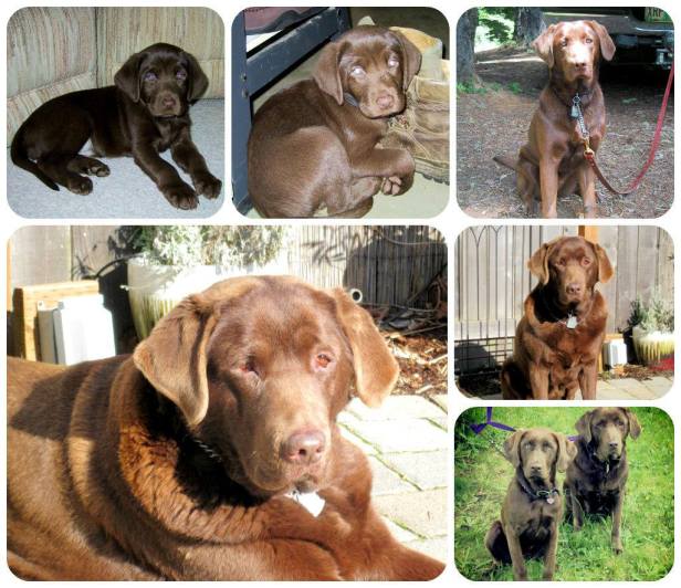 10679851_10204890824856134_6885046873693263463_o