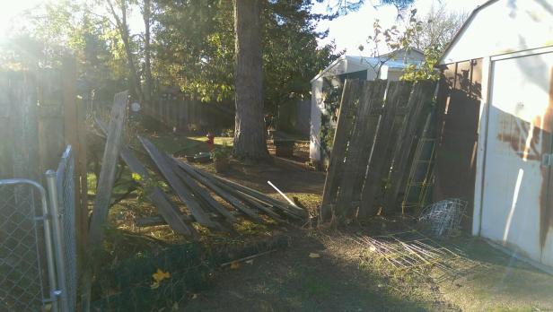 PART_1415812681878_IMAG1012[1]