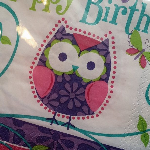 11218825_10206768034025190_380263690357857135_n