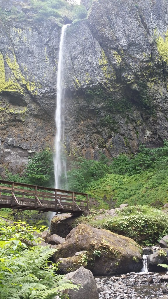 20150531_110341_Richtone(HDR)