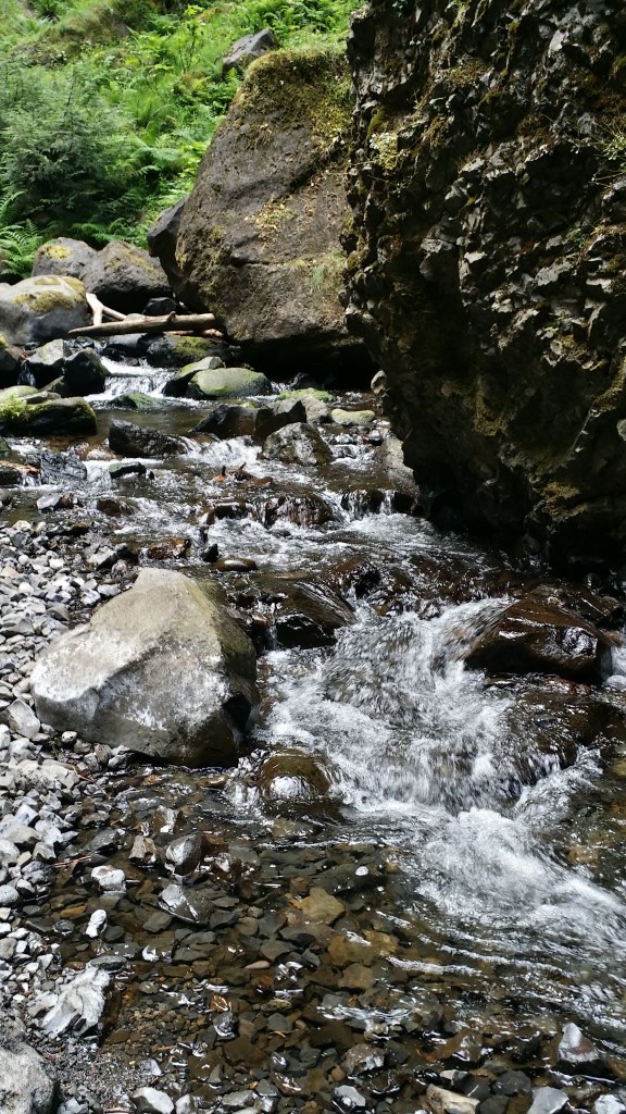 20150531_110452_Richtone(HDR)