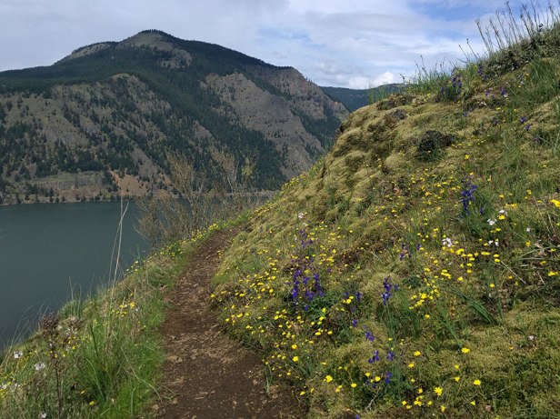 Starvation Loop 500 viewpoint